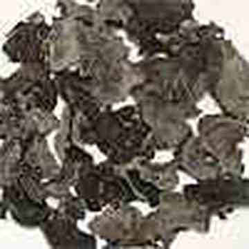 佳木斯食用茵特产,图一