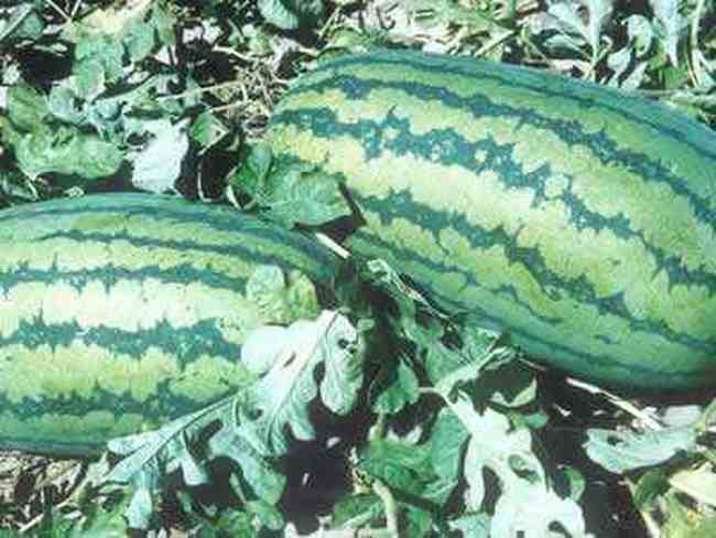 嘉兴商场购物,图一