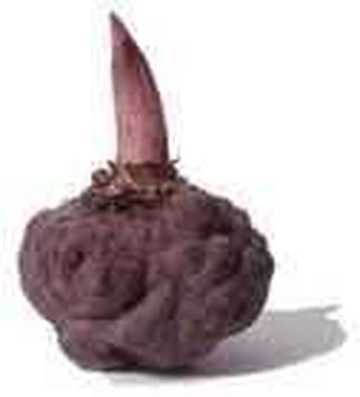 株洲特产一览,图六