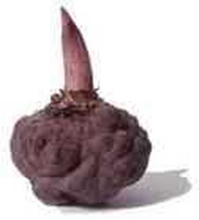 株洲特产一览,图六