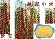 延安土特产购物介绍