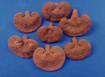 中山地方购物特产一览,图一