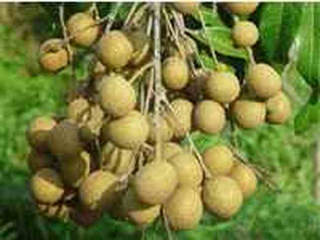 莆田购物介绍,图一