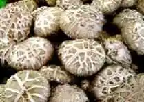 金华武义特产攻略