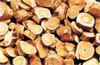 定西地区药材特产