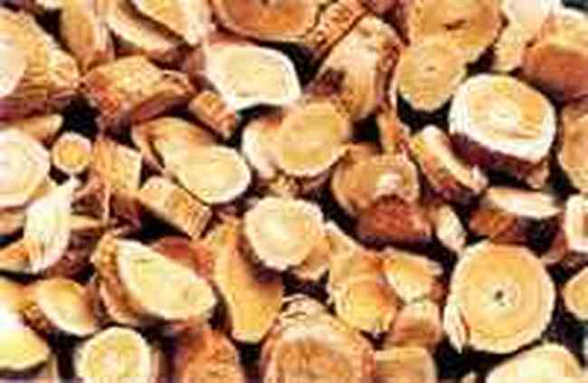 定西地区药材特产,图一