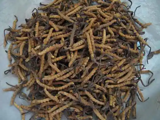 香格里拉不完全攻略——购物篇