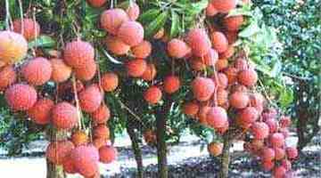 钦州购物特产,图一