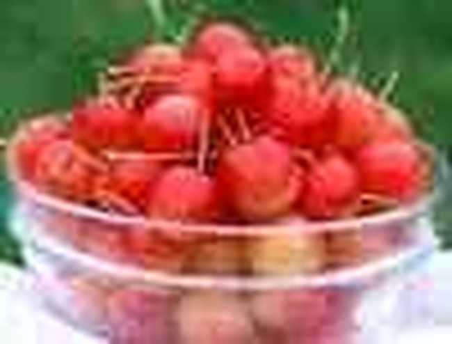 阜陽地方特產(chǎn),圖一