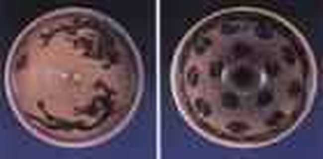 吉安购物介绍,图二