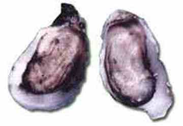 钦州购物特产,图六