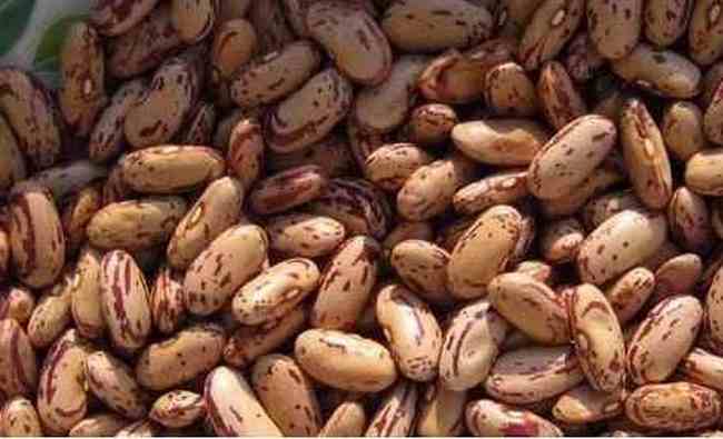 郴州購物介紹,圖一