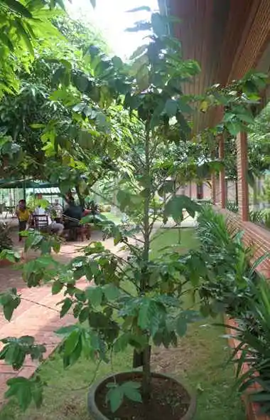 朴实无华的福山咖啡