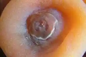 三门峡购物介绍