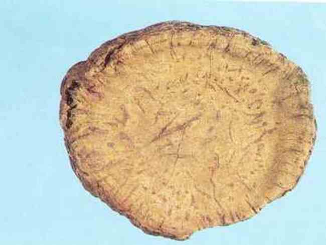 甘孜特产推介,图三