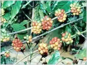 三亚购物去处一览表