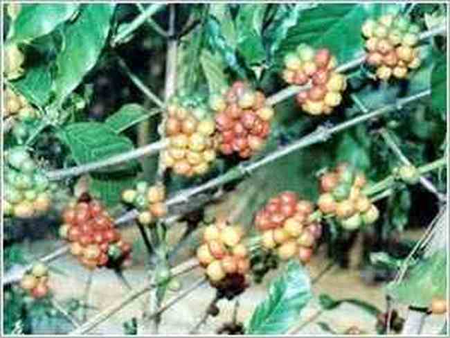 三亚购物去处一览表