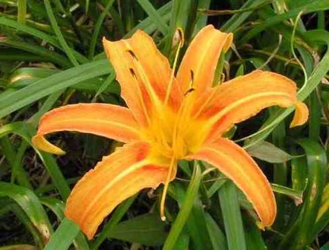 赤峰购物介绍,图二