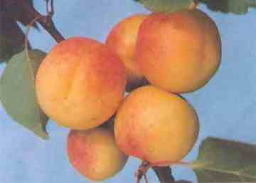 邯郸购物推荐,图四