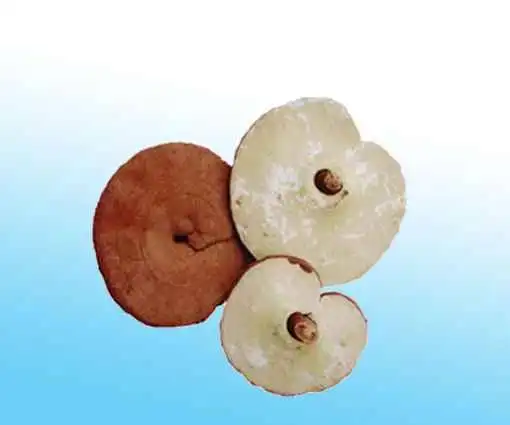 渭南购物特产综述