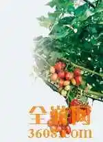 衡水旅游产品推荐