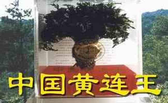 恩施购物指南,图四