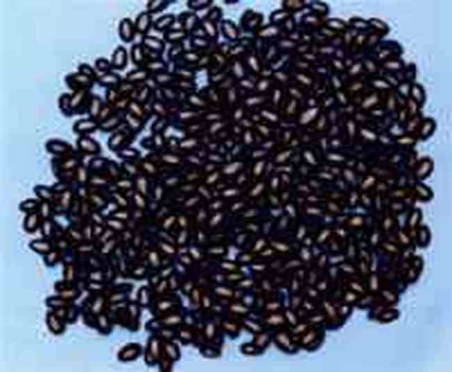 包頭名優(yōu)特產(chǎn)