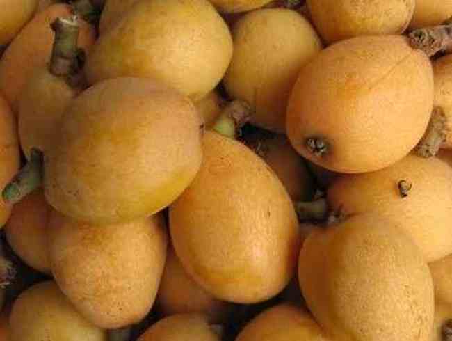 莆田购物介绍,图二