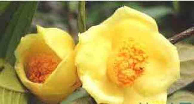 防城港购物介绍,图二