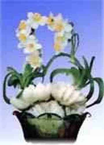 漳州购物介绍,图一