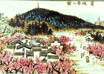 渭南购物特产综述