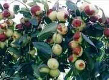 唐县购物指南,图一