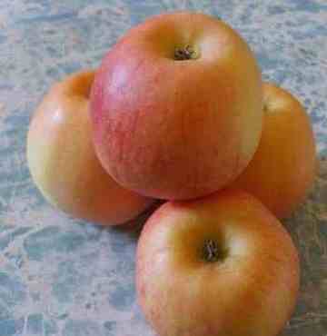 三门峡购物介绍,图四