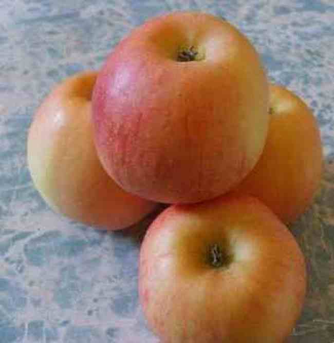 三门峡购物介绍,图四