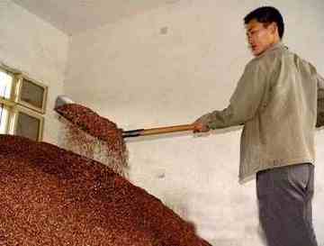 邯郸购物推荐,图一