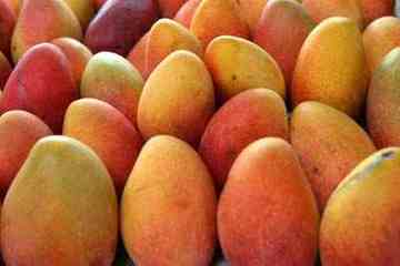 中山地方购物特产一览,图四