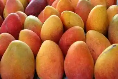 中山地方购物特产一览