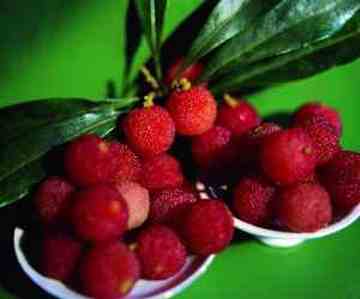 郴州购物介绍,图五