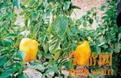 衡水旅游产品推荐