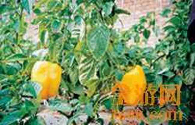 衡水旅游产品推荐,图六