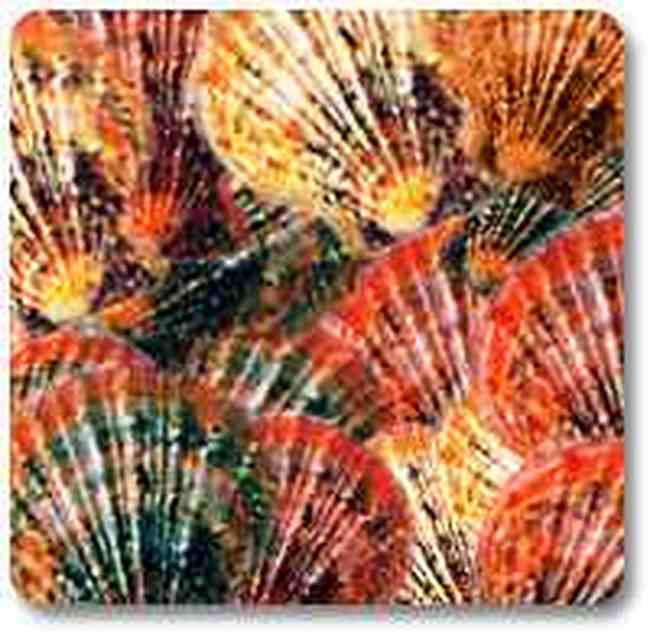 威海地方特产,图三