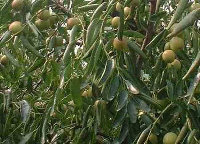 周口购物介绍,图二