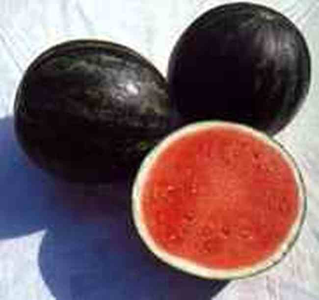 开封购物介绍,图一