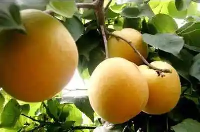 三门峡购物介绍