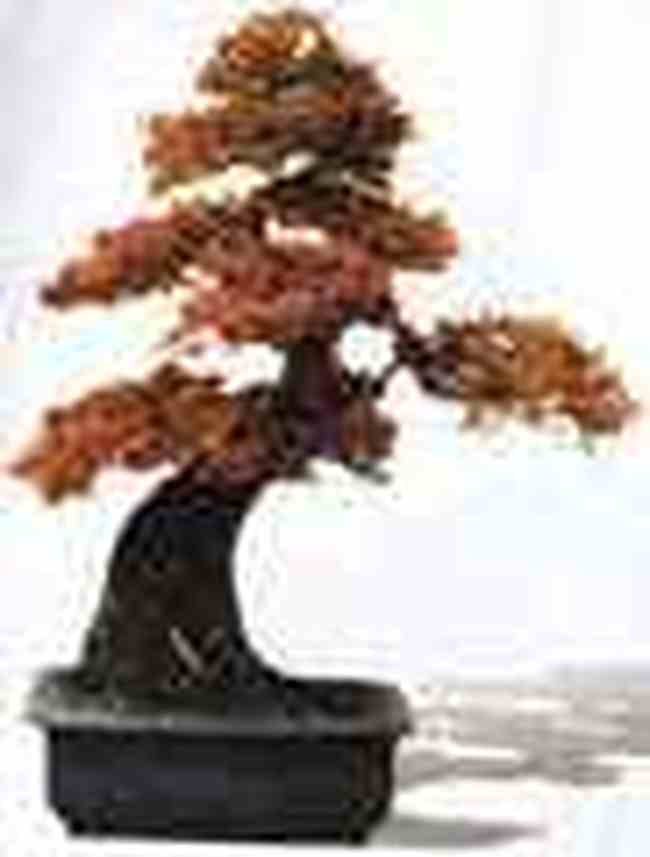 长沙商场购物,图四