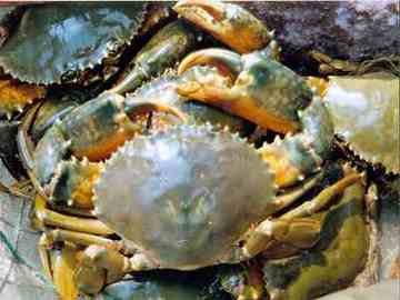 钦州购物特产,图四