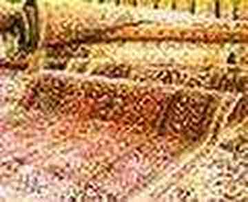 南阳工艺品一览,图一