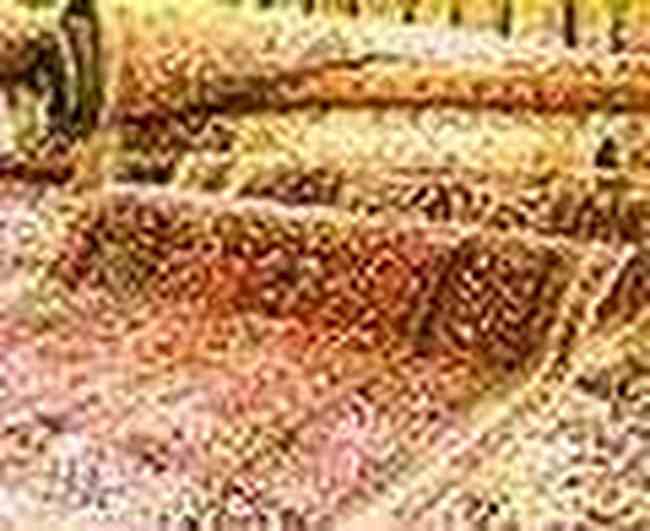 南阳工艺品一览,图一