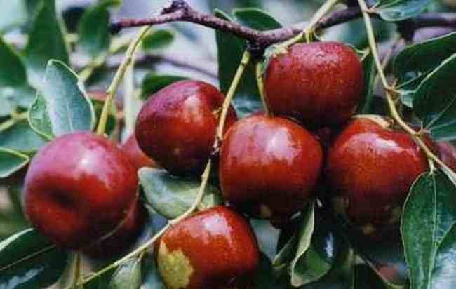 三门峡购物介绍,图三