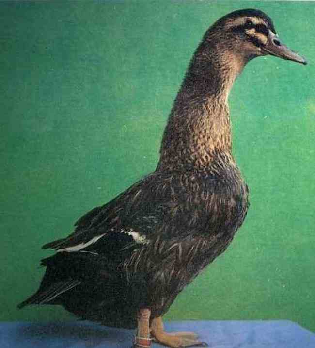 莆田购物介绍,图九